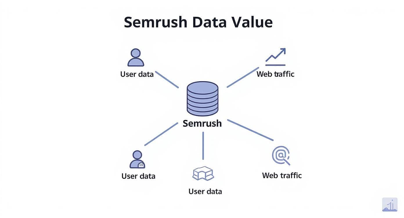 Why did adobe acquire semrush data value