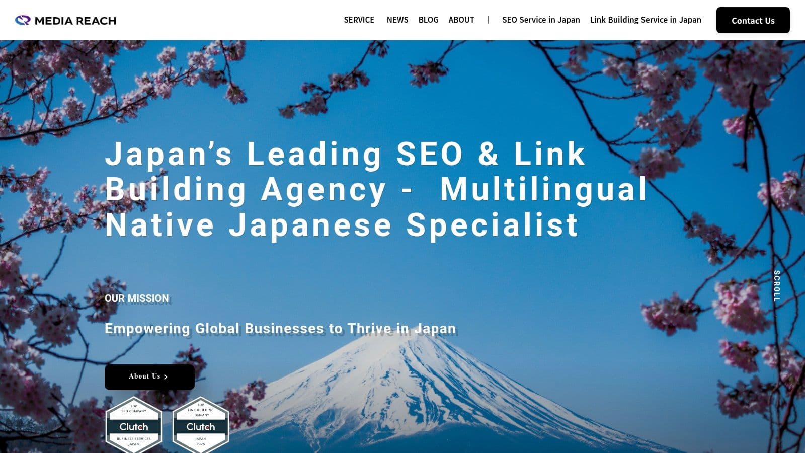 Best ai search optimization agency in osaka mount fuji cherry blossoms