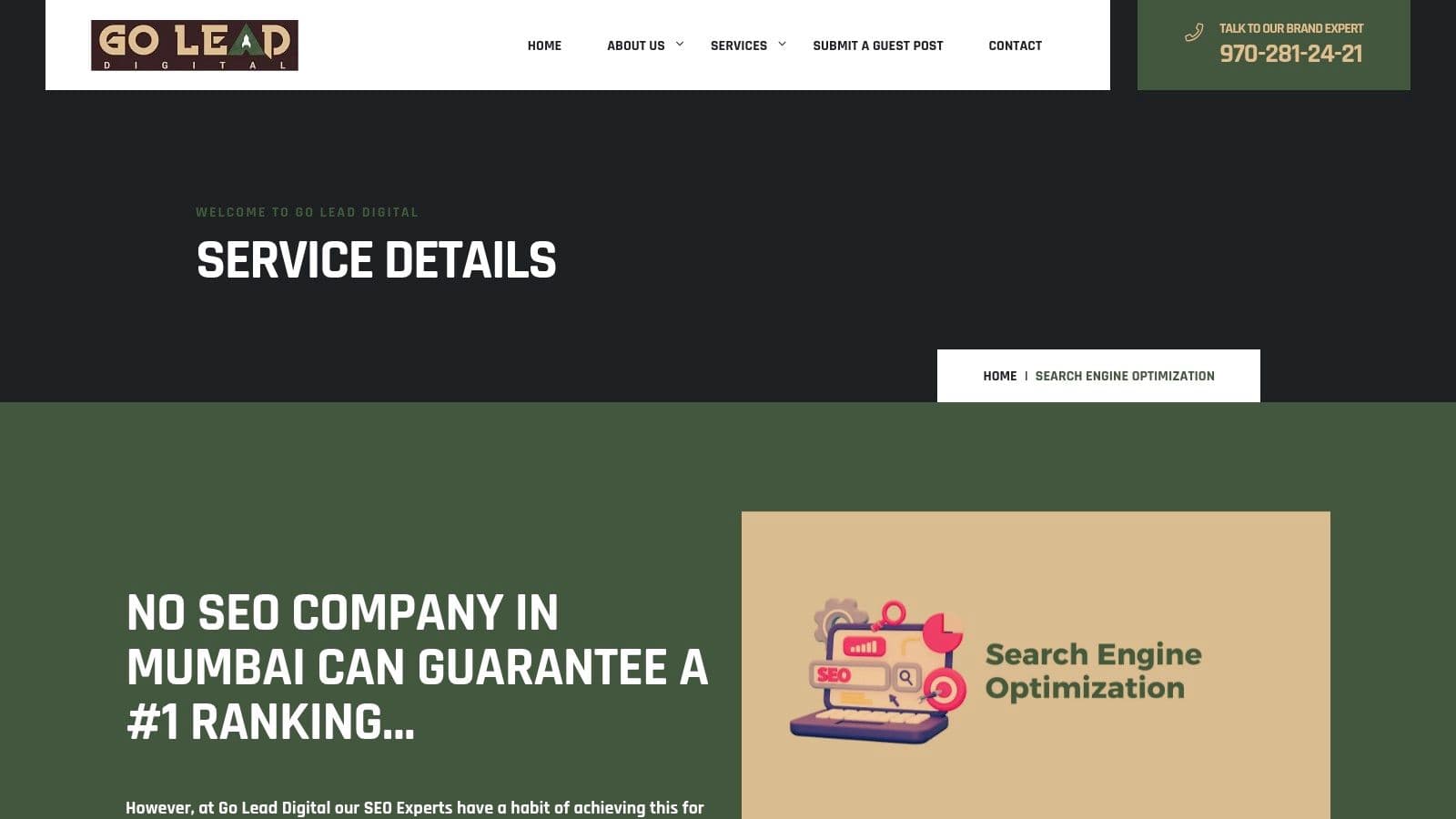 Best ai search optimization agency in mumbai seo services