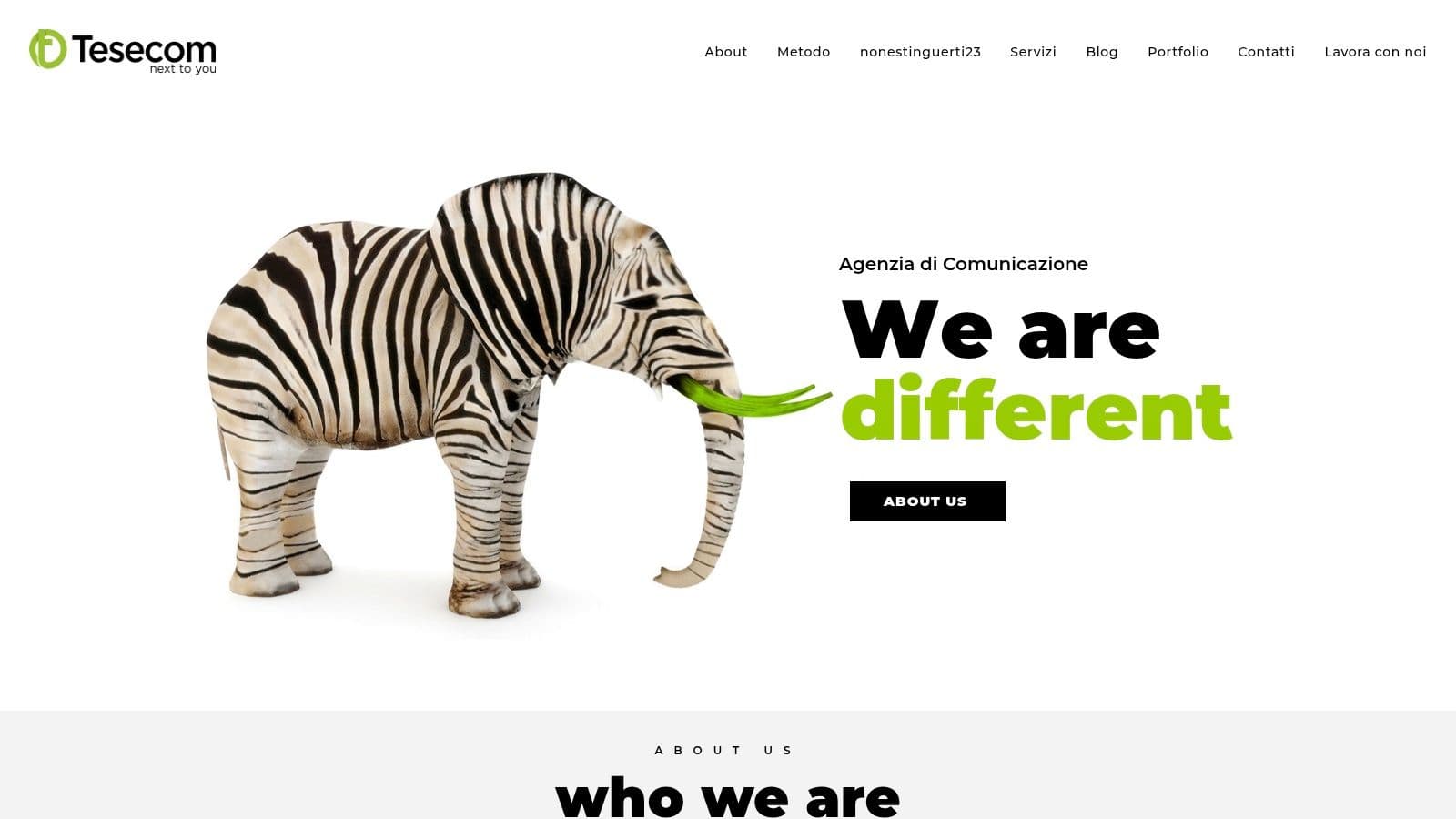 Best ai search optimization agency in rome zebra elephant